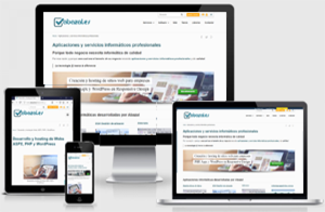 Desarrollo de Webs en NET  DevExpress y  WordPress